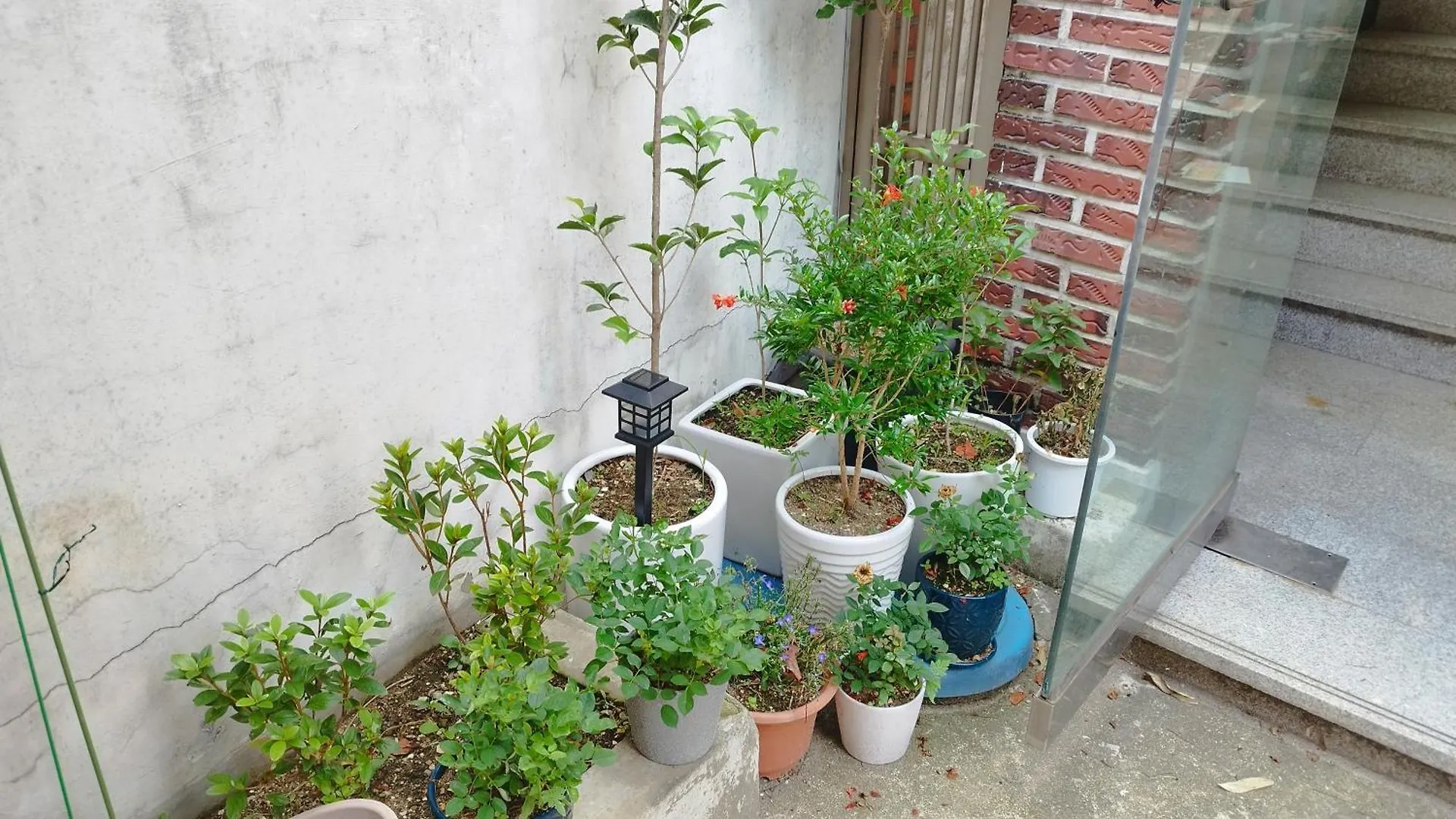 Ewha Univ, Ahyeon 3Rooms Stay 서울특별시 0*,  대한민국